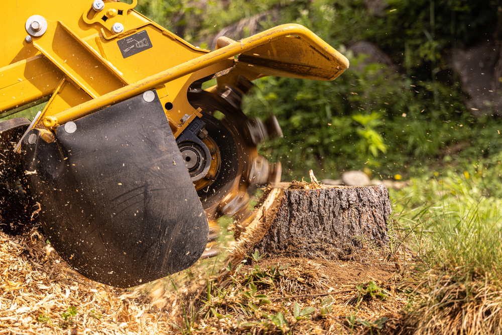 A yellow stump grinder machine performs stump grinding, reducing a tree stump to wood chips as debris scatters across the grassy outdoor area.