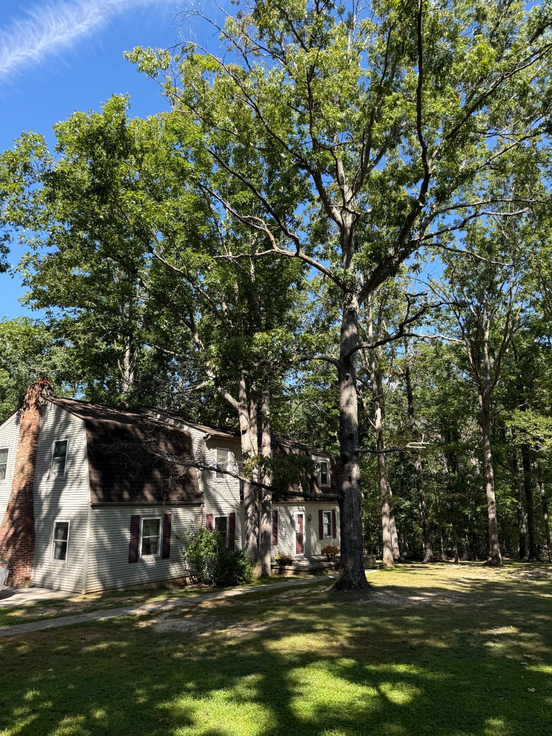 Two-story house with gray siding and maroon shutters stands among tall trees on a sunny day, casting shadows on the grass lawn.